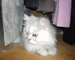 �\�y�̒��B�����������悤���B