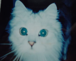 �J�����ɋ߂Â��G�f���O�O